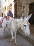 Yemen - Thula (Cistern and Village) - 21